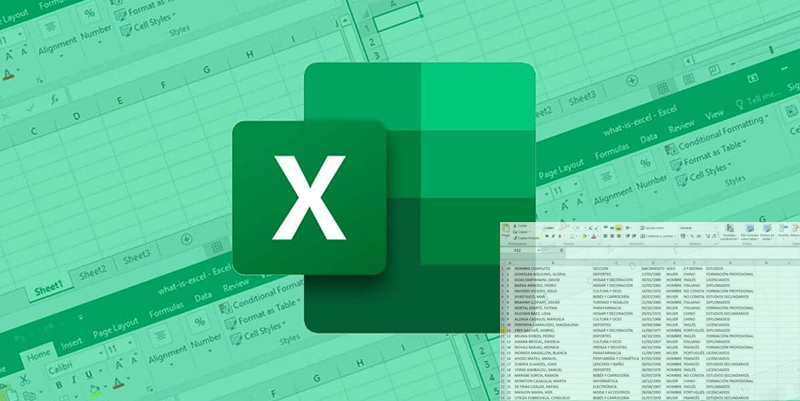 base de datos en excel